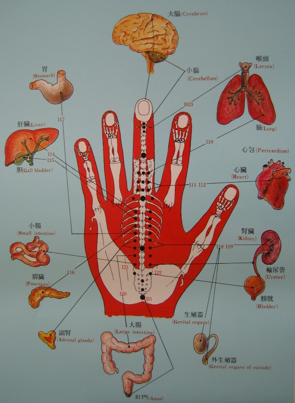 KHT – WAS IST KOREANISCHE HANDTHERAPIE UND -MASSAGE?